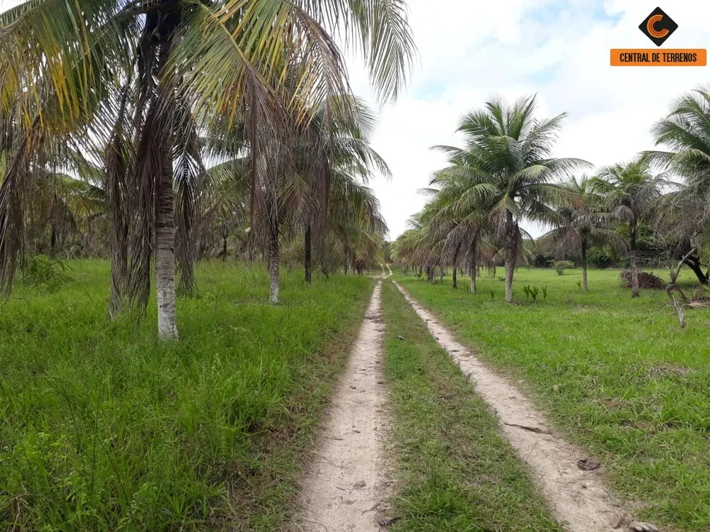 Terreno, 5 hectares - Foto 1