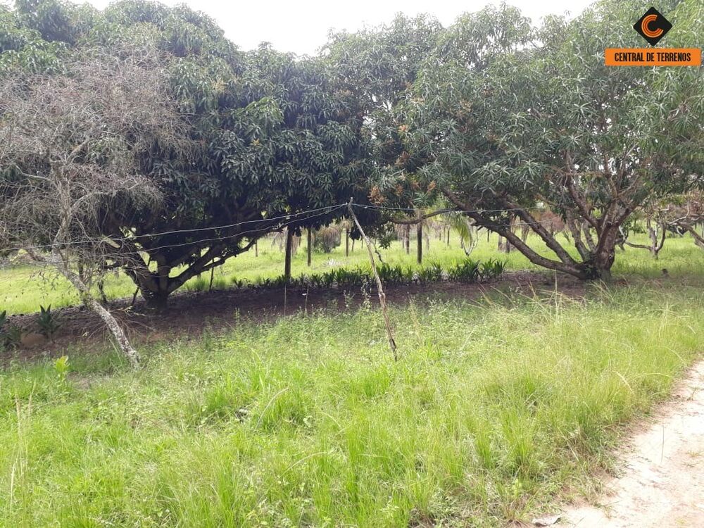 Terreno, 5 hectares - Foto 2