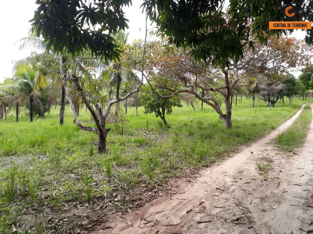 Terreno, 5 hectares - Foto 13