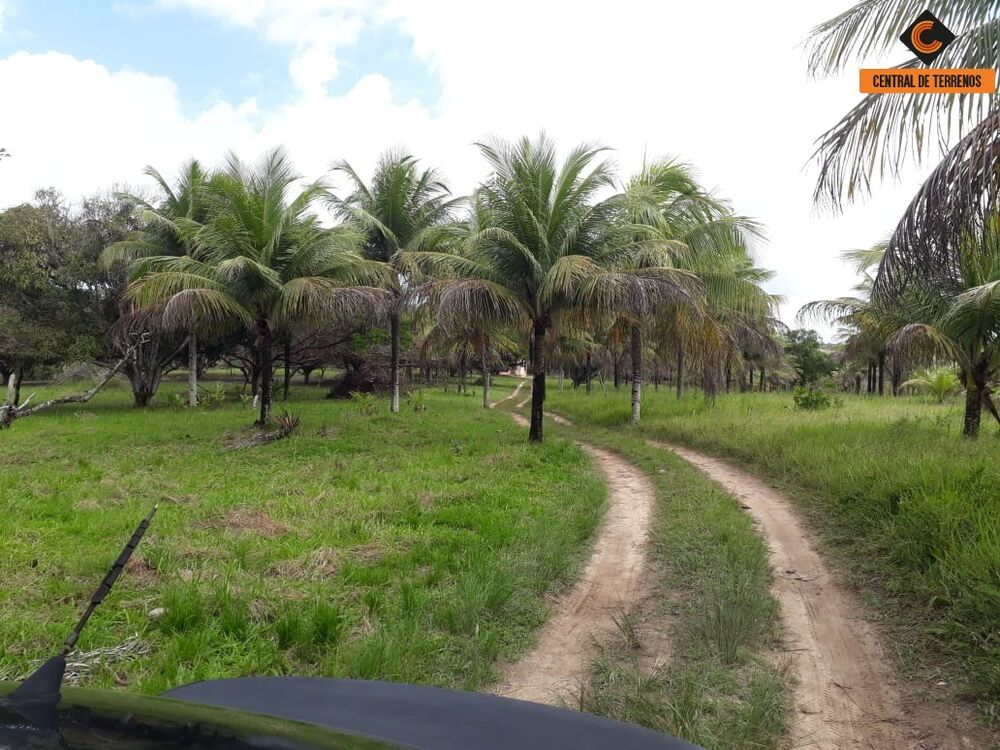Terreno, 5 hectares - Foto 3