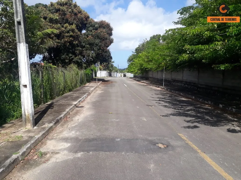 Terreno, 5 hectares - Foto 7