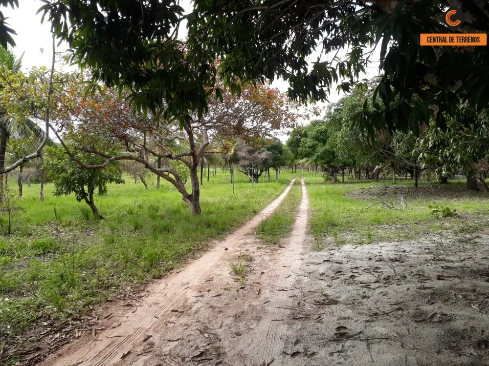 Terreno, 5 hectares - Foto 4