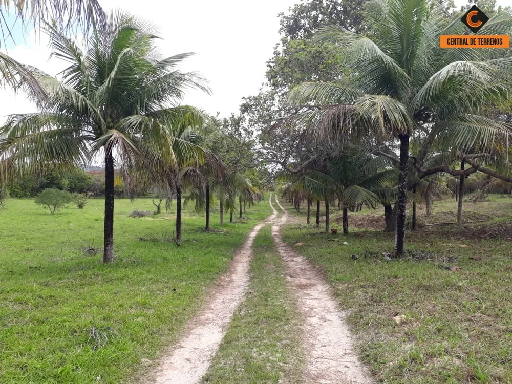 Terreno, 5 hectares - Foto 6