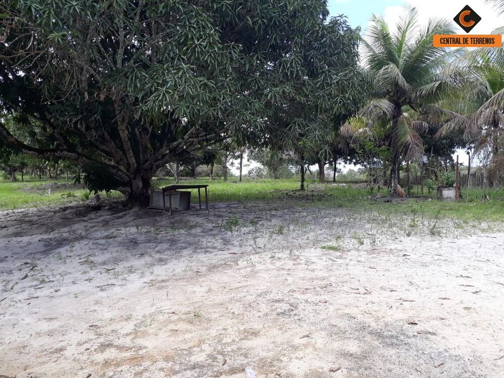 Terreno, 5 hectares - Foto 1