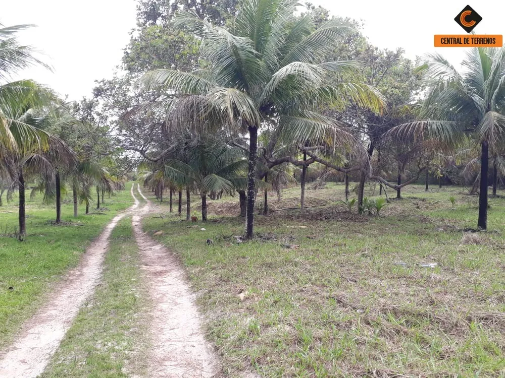 Terreno, 5 hectares - Foto 11