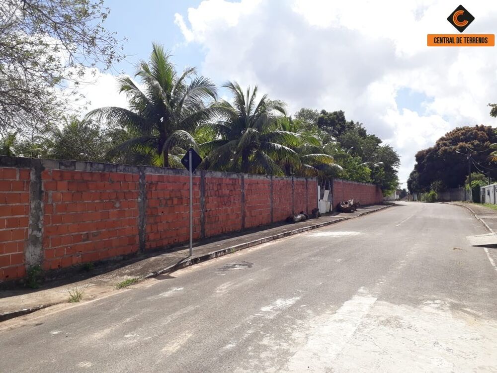 Terreno, 5 hectares - Foto 4