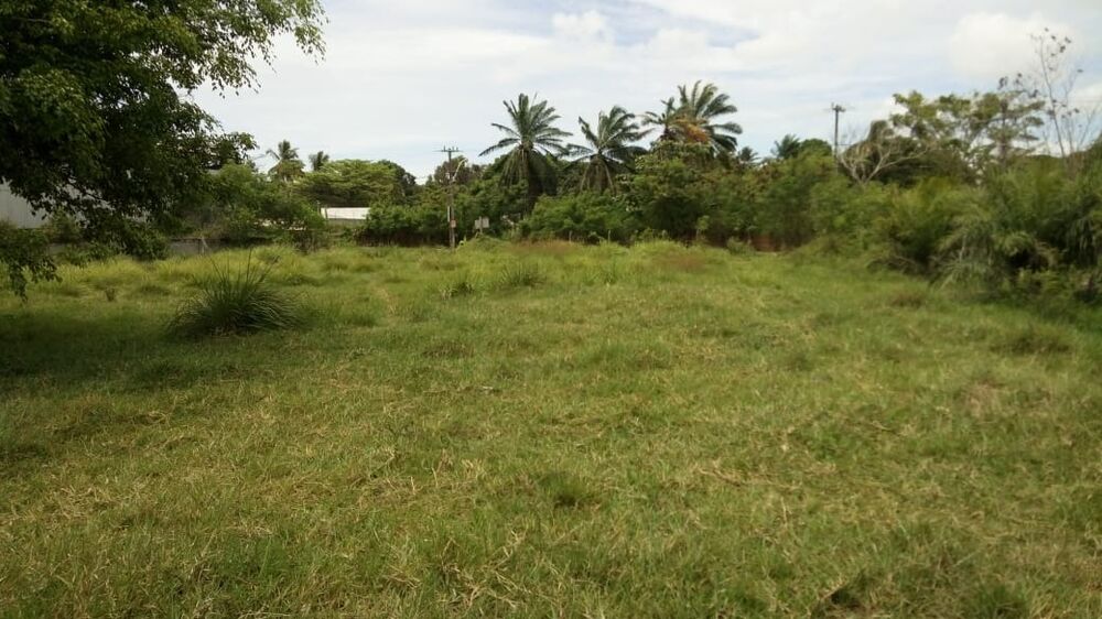 Terreno, 3200 m² - Foto 2