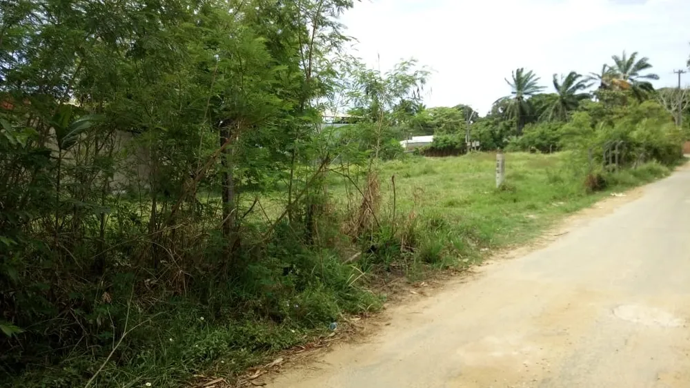 Terreno, 3200 m² - Foto 5