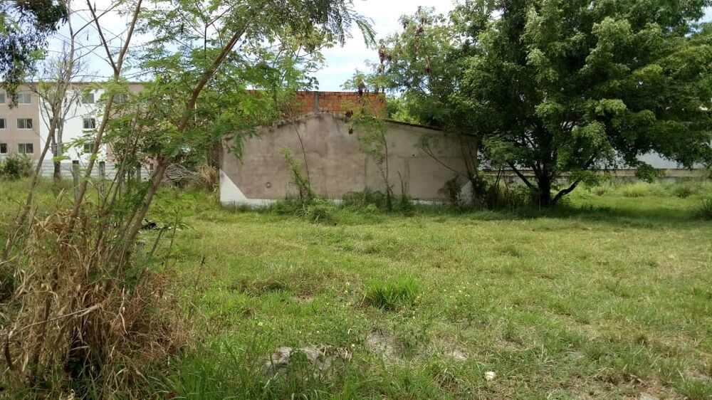 Terreno, 3200 m² - Foto 4