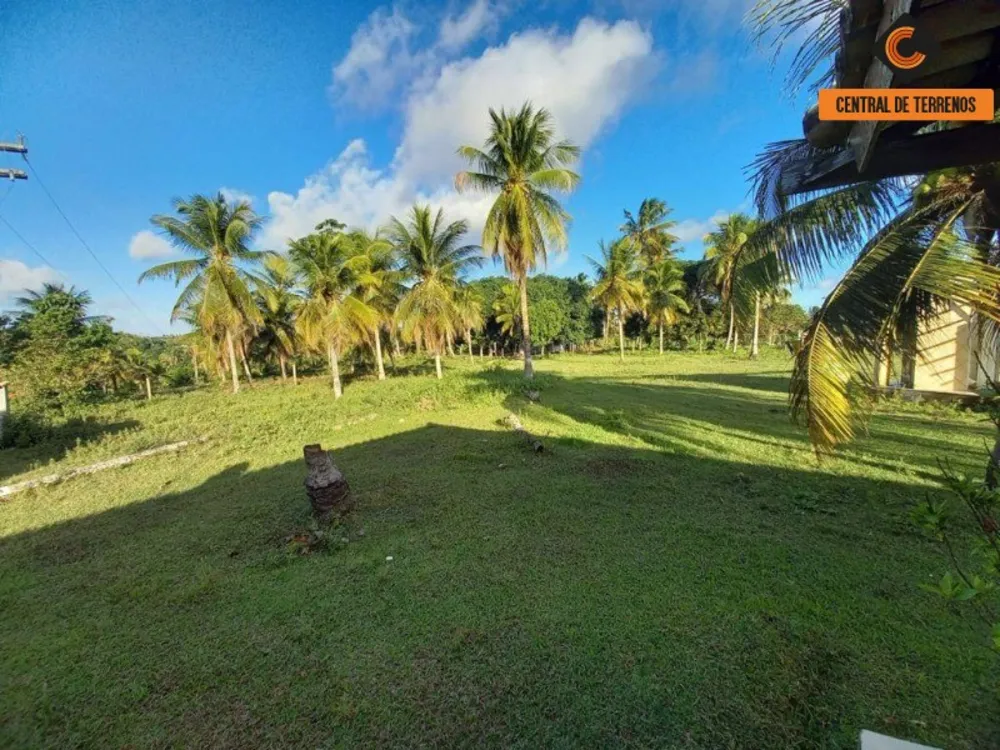 Terreno, 91 hectares - Foto 13