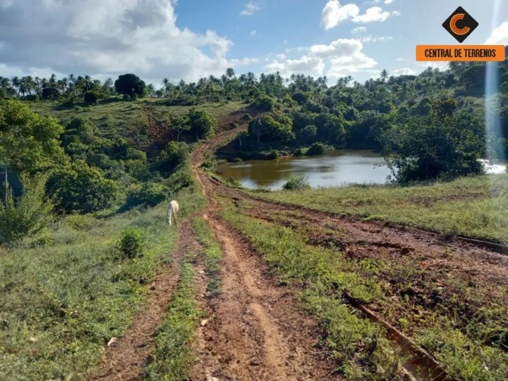 Terreno, 91 hectares - Foto 9