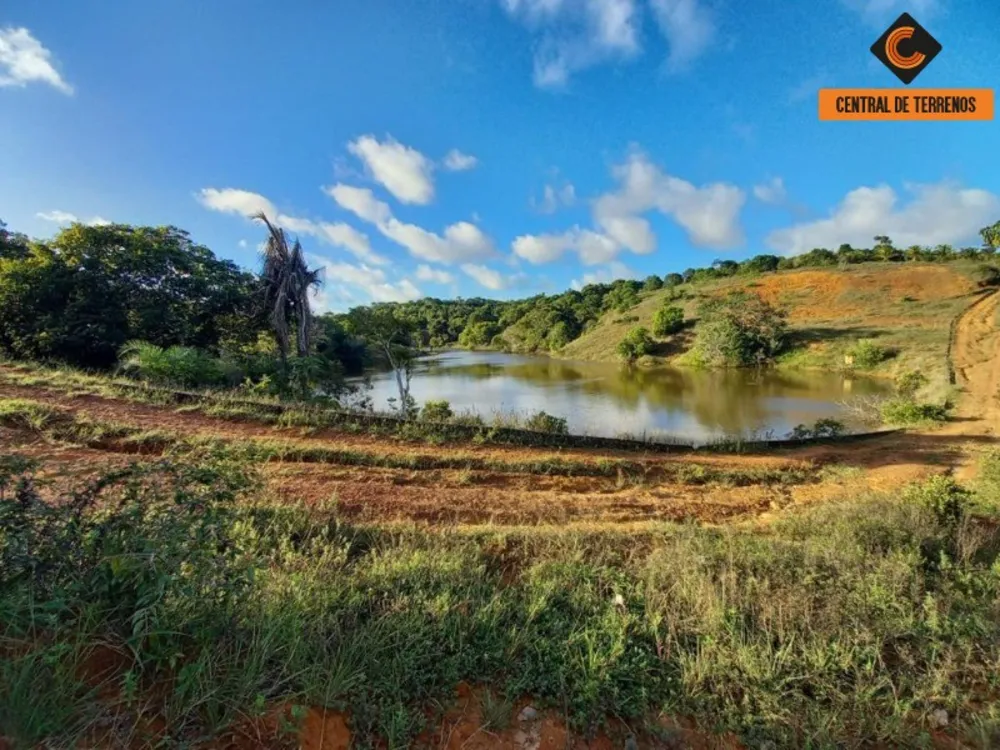 Terreno, 91 hectares - Foto 6