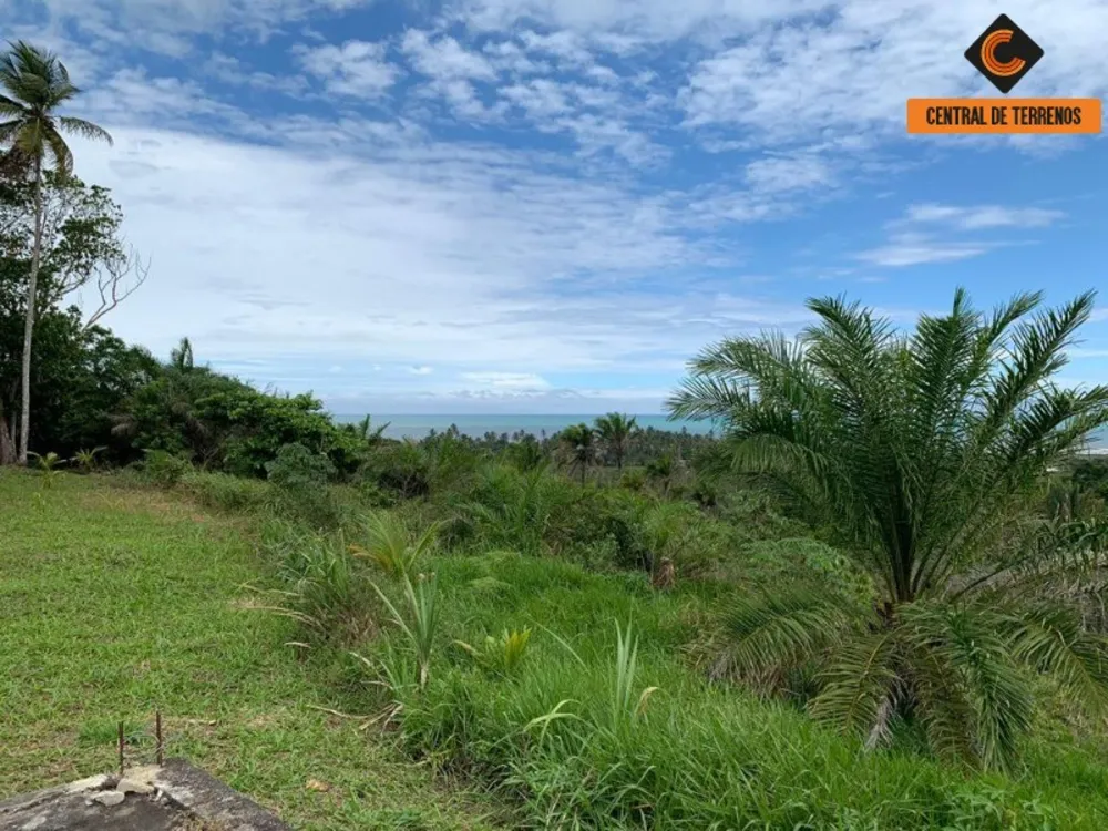Terreno, 91 hectares - Foto 10