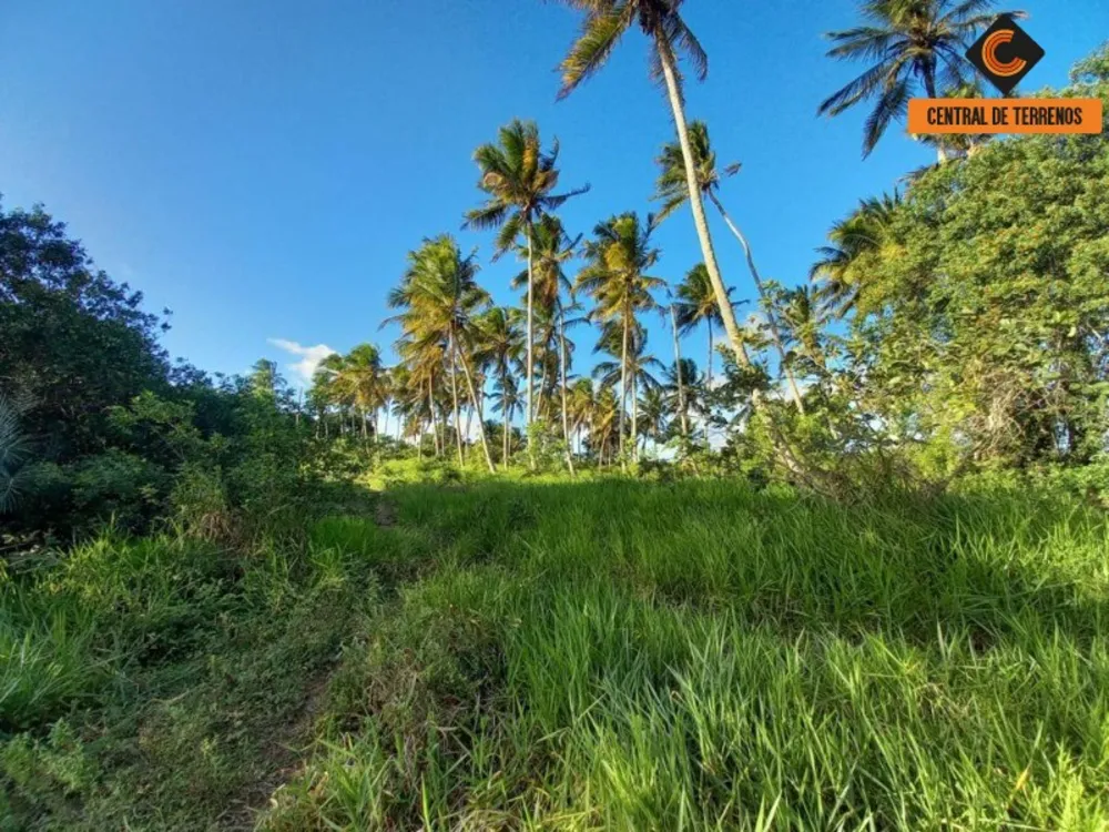 Terreno, 91 hectares - Foto 12