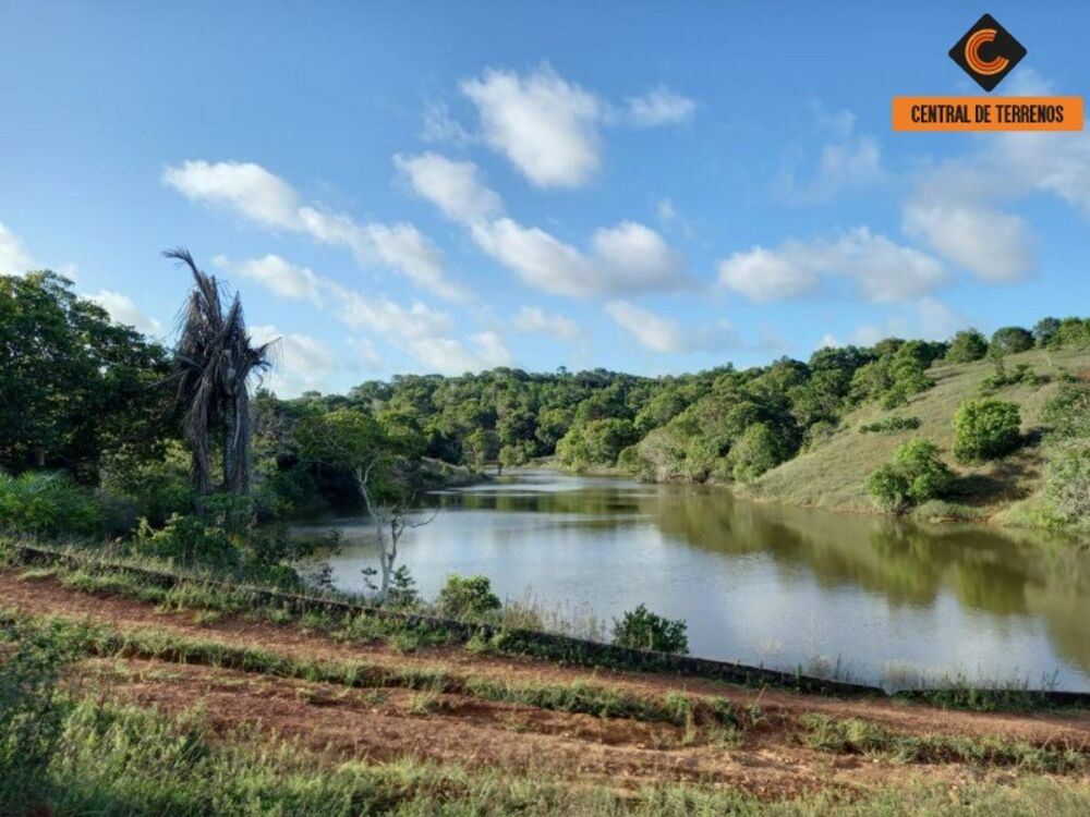Terreno, 91 hectares - Foto 6