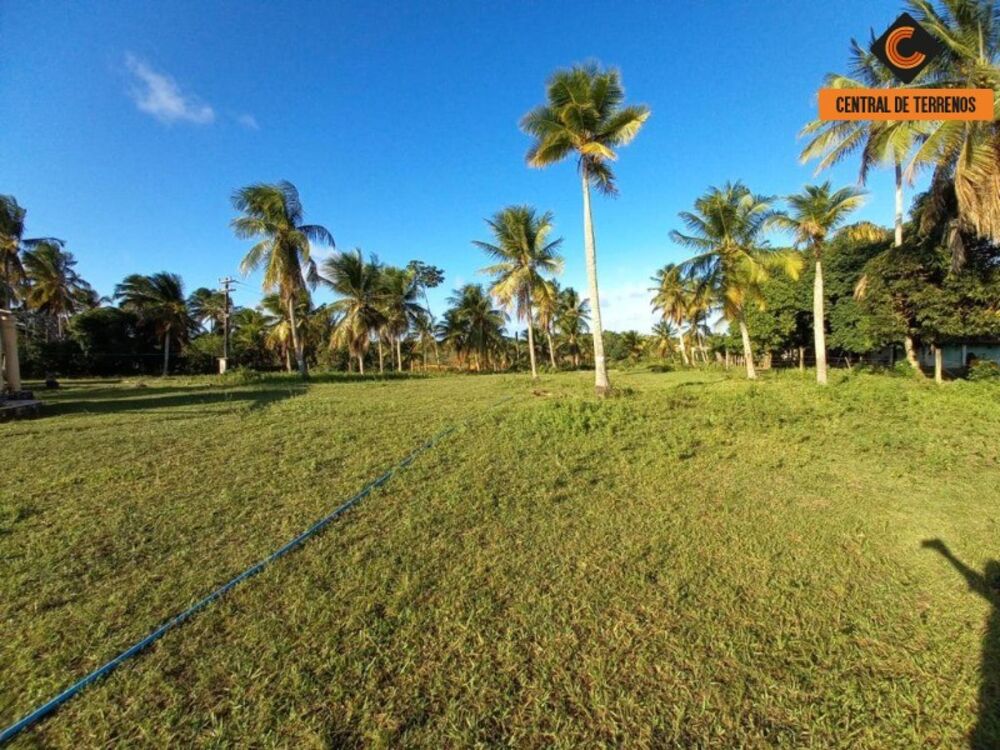 Terreno, 91 hectares - Foto 7