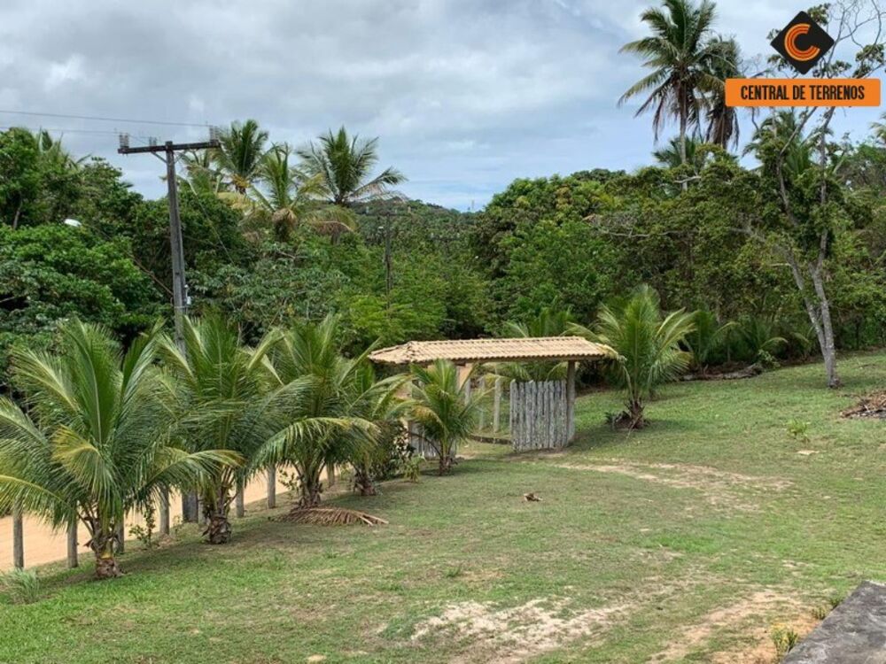 Terreno, 91 hectares - Foto 8