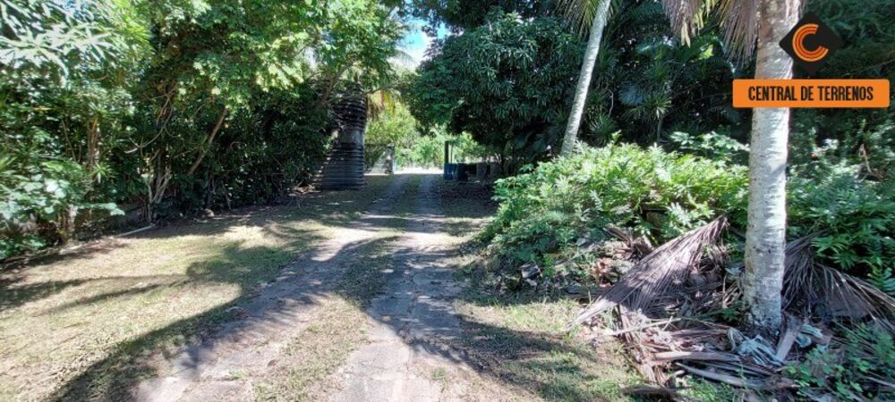 Terreno, 3780 m² - Foto 2
