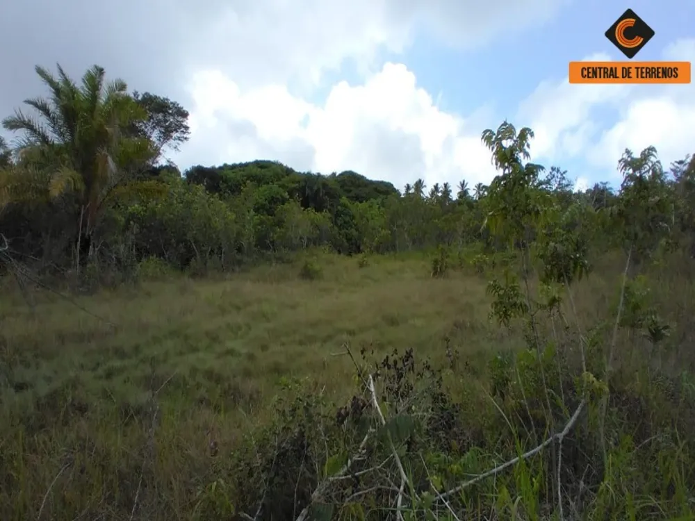 Terreno, 3 hectares - Foto 12