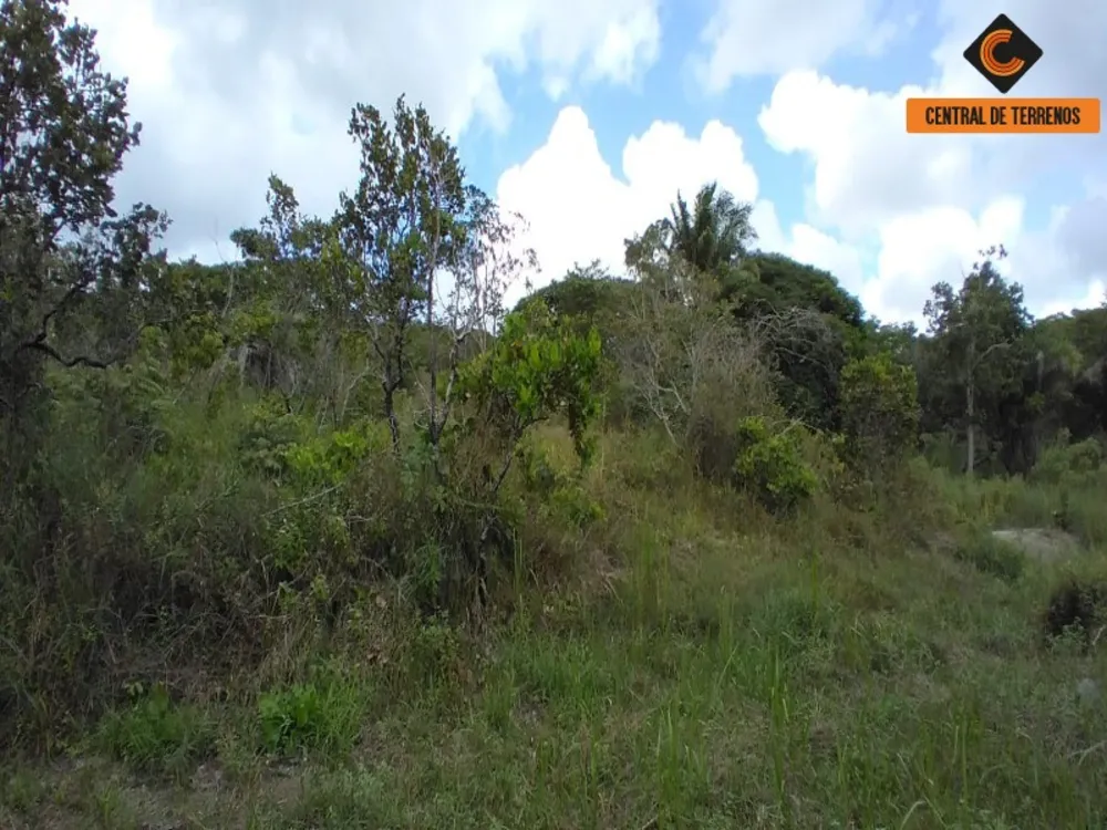 Terreno, 3 hectares - Foto 8