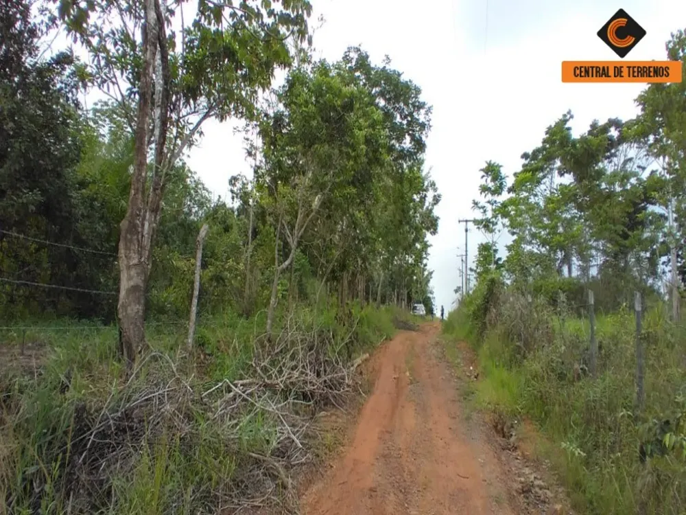 Terreno, 3 hectares - Foto 6