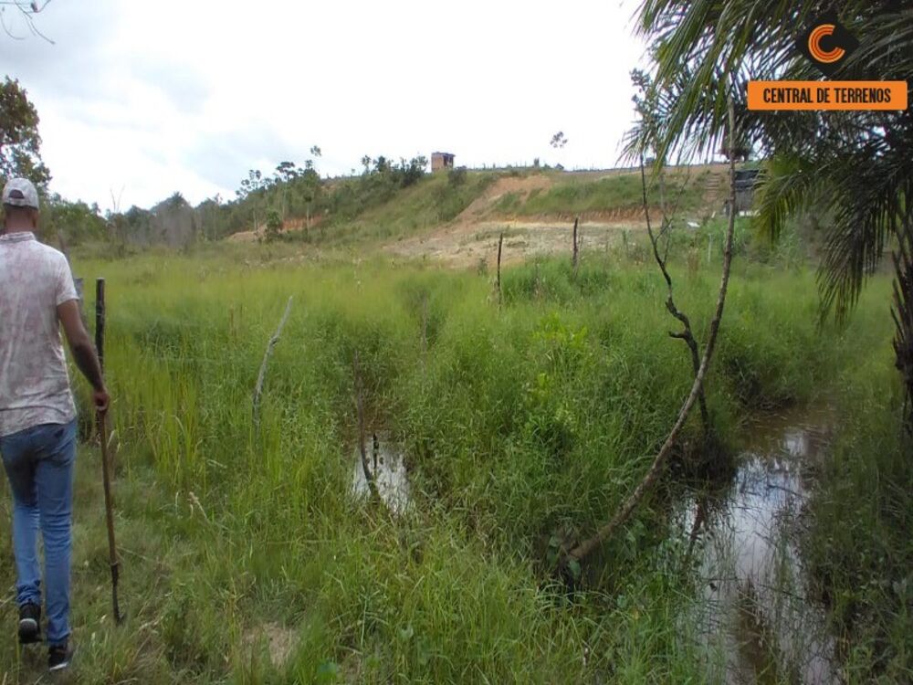 Terreno, 3 hectares - Foto 4