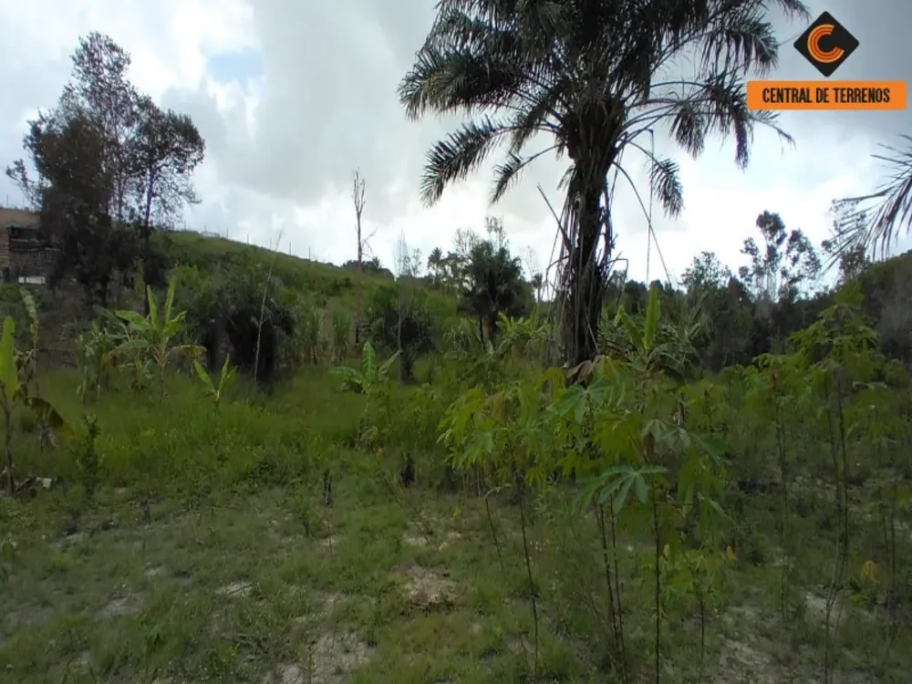 Terreno, 3 hectares - Foto 10