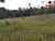 Terreno, 3 hectares - Foto 1