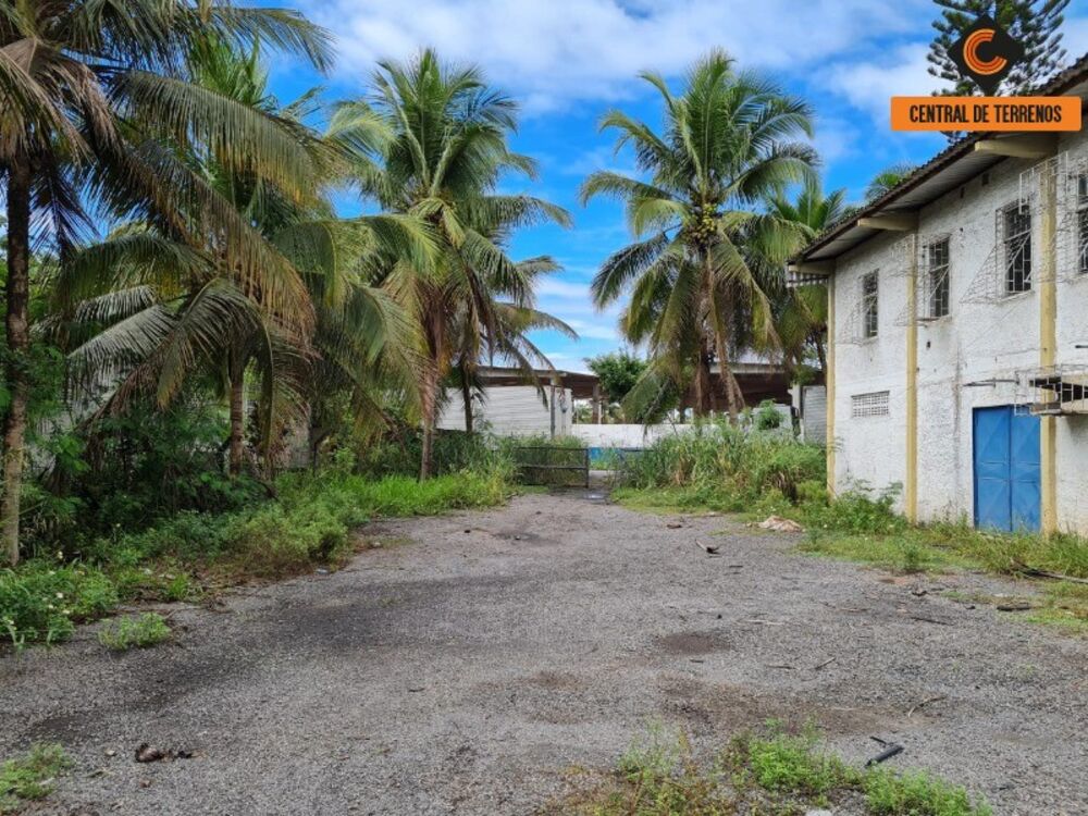 Depósito-Galpão - Foto 4