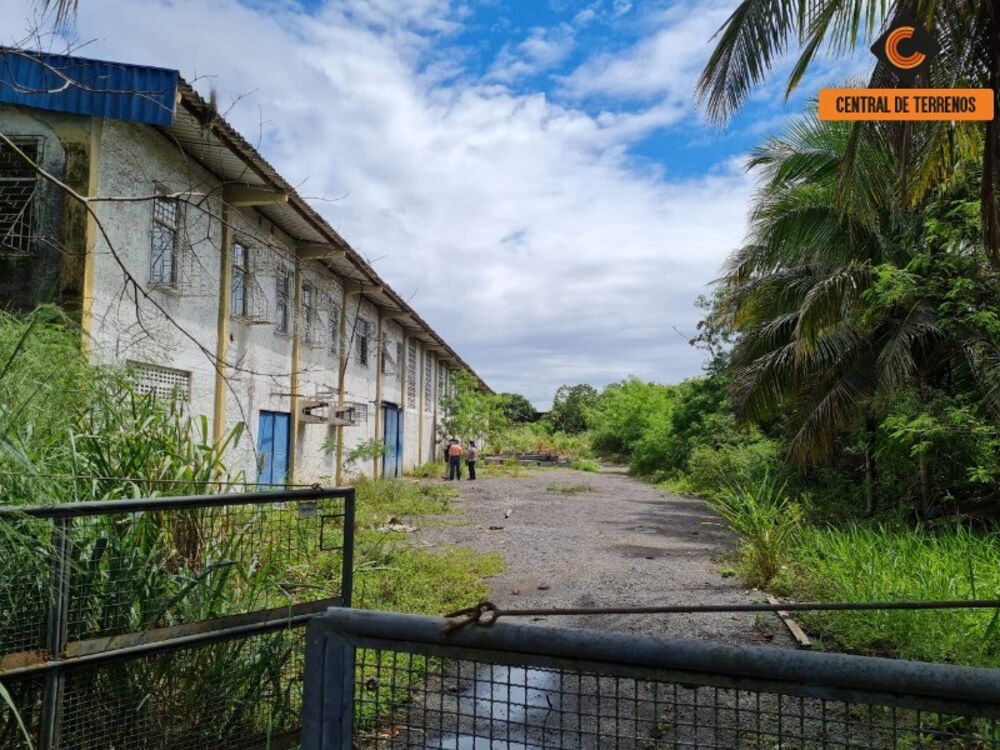 Depósito-Galpão - Foto 3