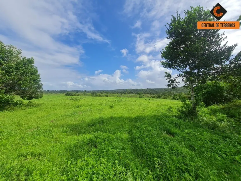 Terreno, 98 hectares - Foto 10