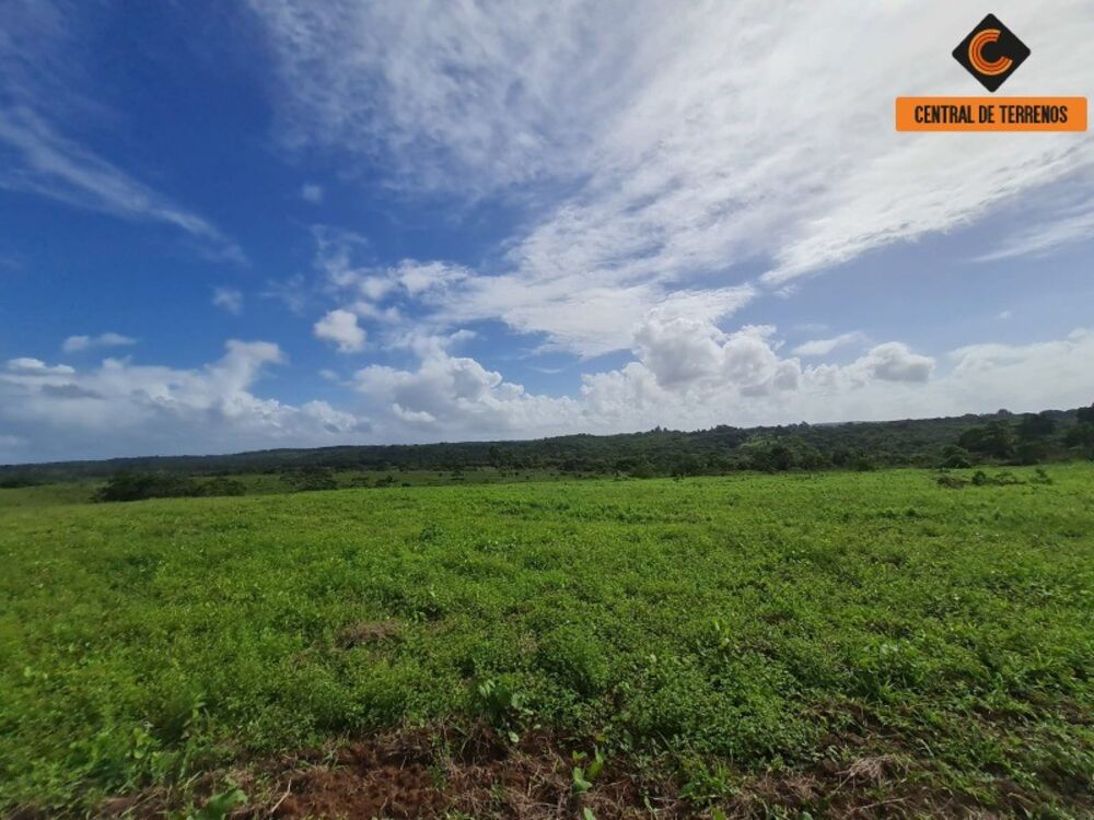 Terreno, 98 hectares - Foto 8