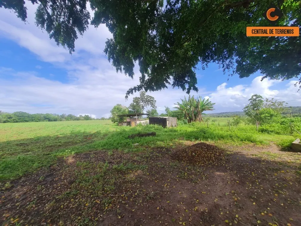 Terreno, 98 hectares - Foto 8