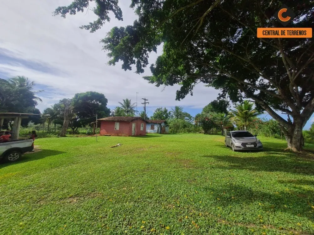 Terreno, 98 hectares - Foto 1