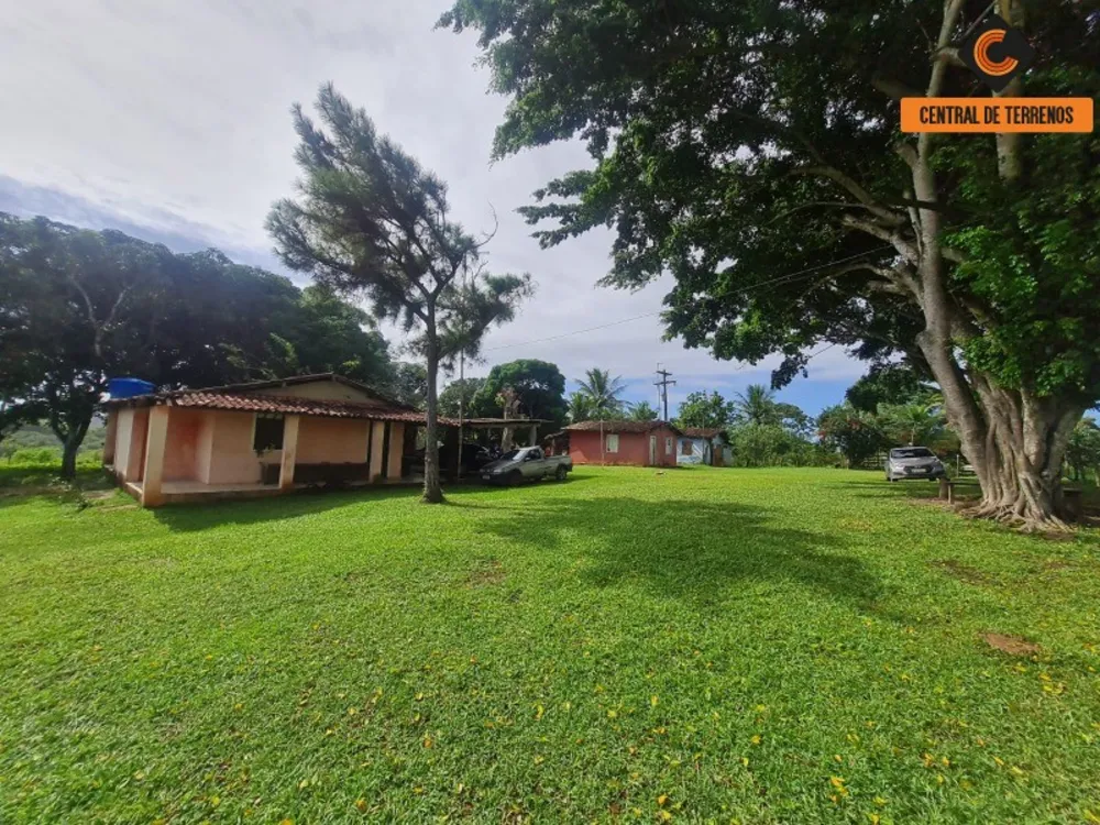 Terreno, 98 hectares - Foto 6
