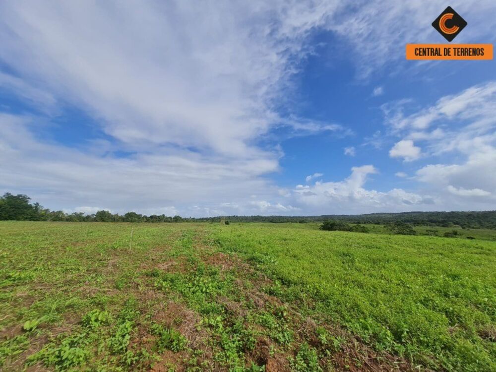 Terreno, 98 hectares - Foto 6