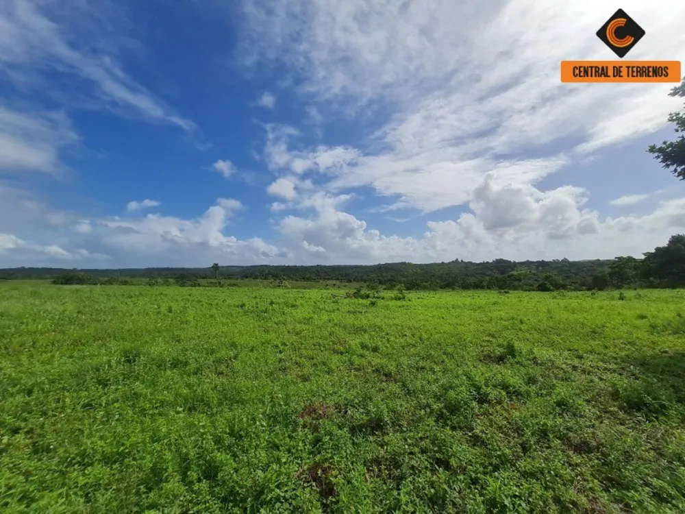 Terreno, 98 hectares - Foto 11