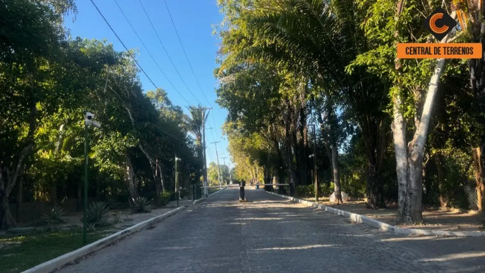 Terreno, 1000 m² - Foto 6