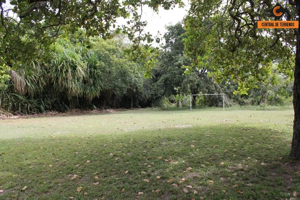 Terreno, 2 hectares - Foto 9