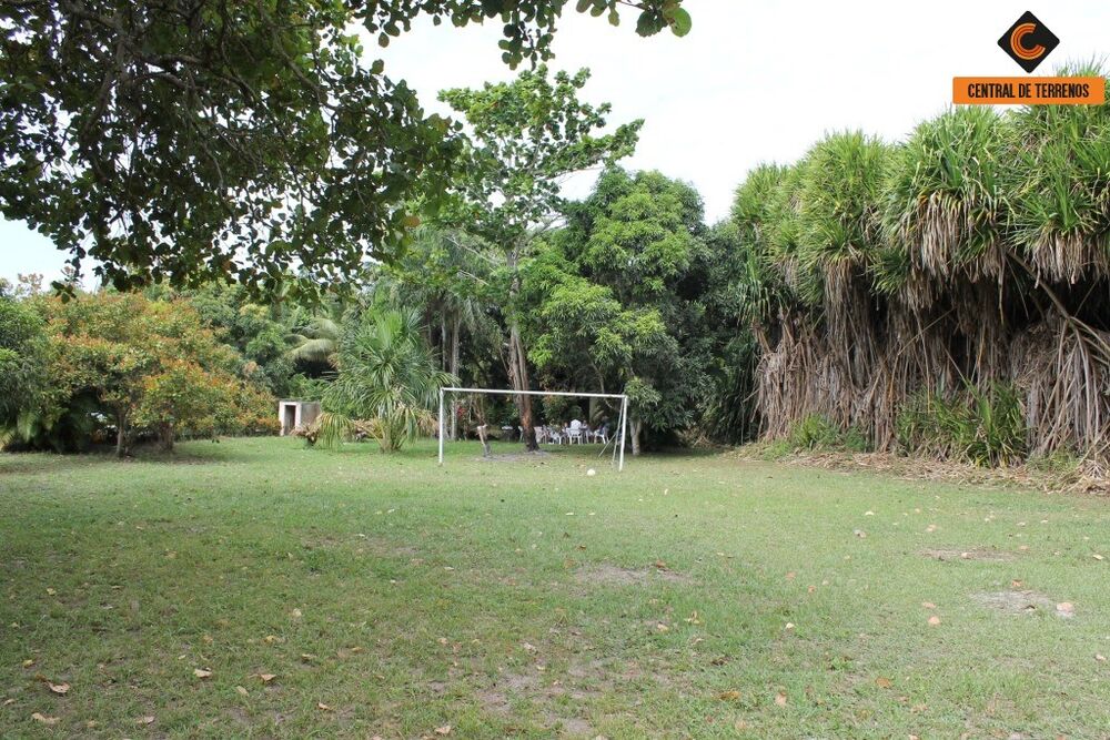 Terreno, 2 hectares - Foto 1