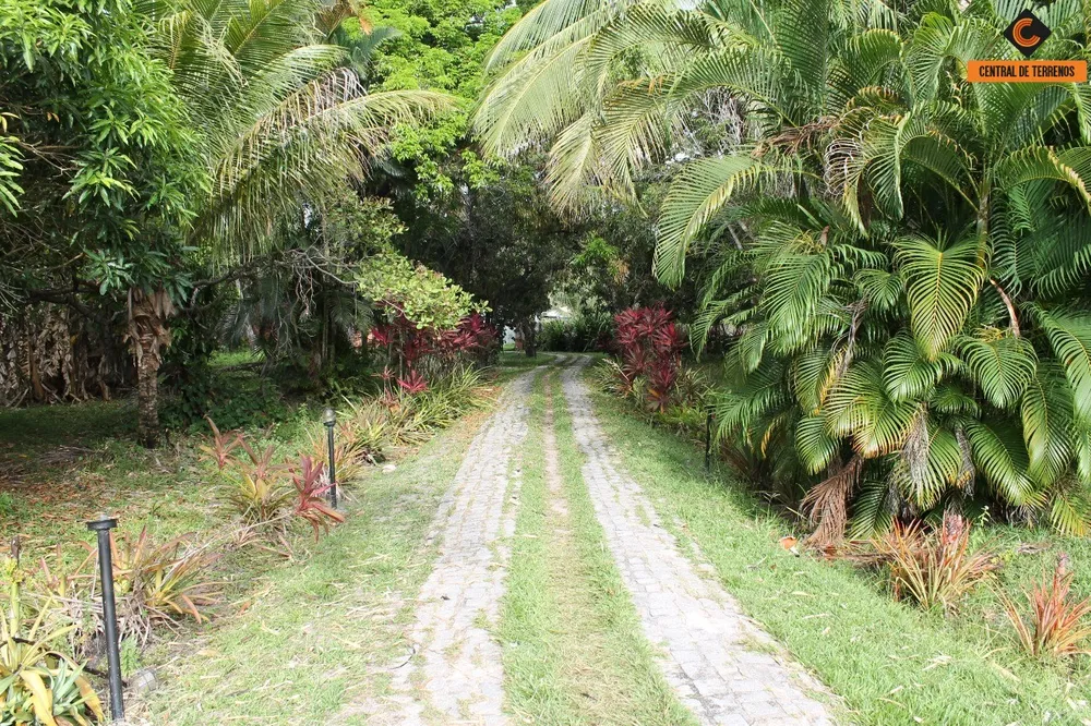Terreno, 2 hectares - Foto 4