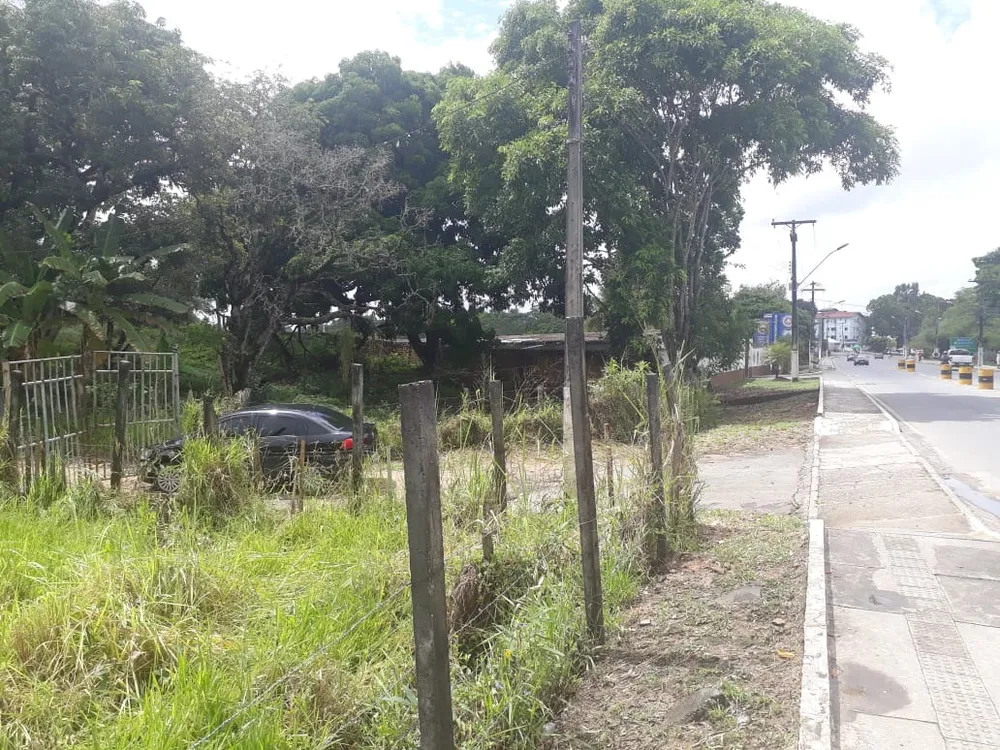 Terreno, 22 hectares - Foto 2