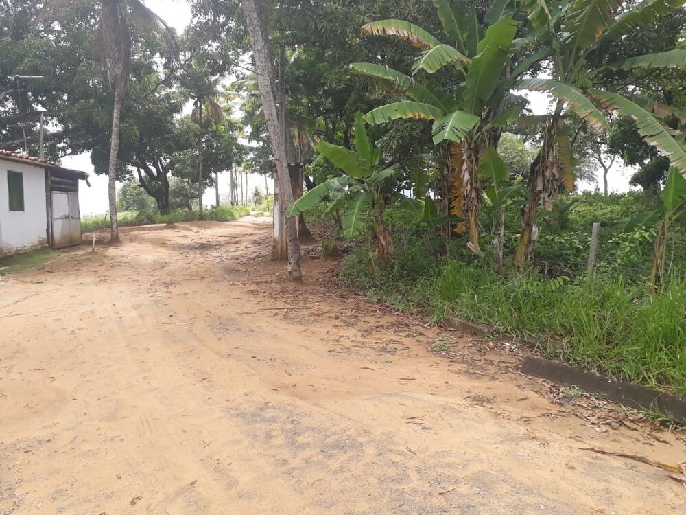 Terreno, 22 hectares - Foto 4