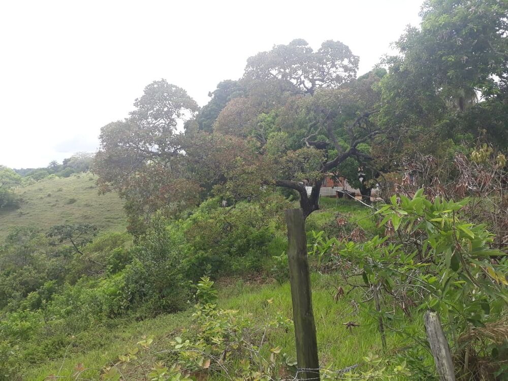 Terreno, 22 hectares - Foto 2