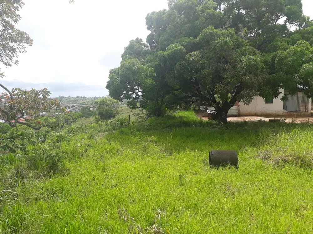 Terreno, 22 hectares - Foto 3