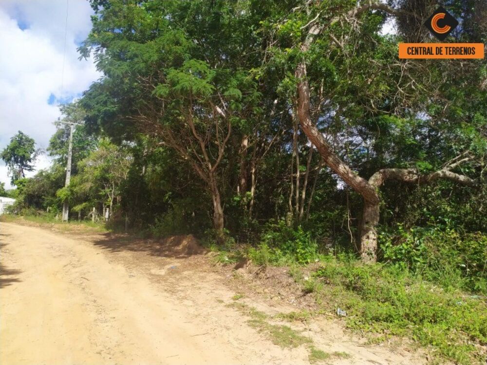 Terreno, 1000 m² - Foto 4