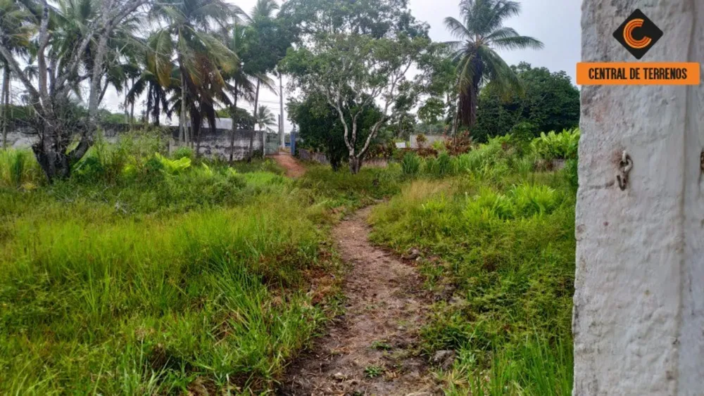Loteamento e Condomínio, 2500 m² - Foto 2