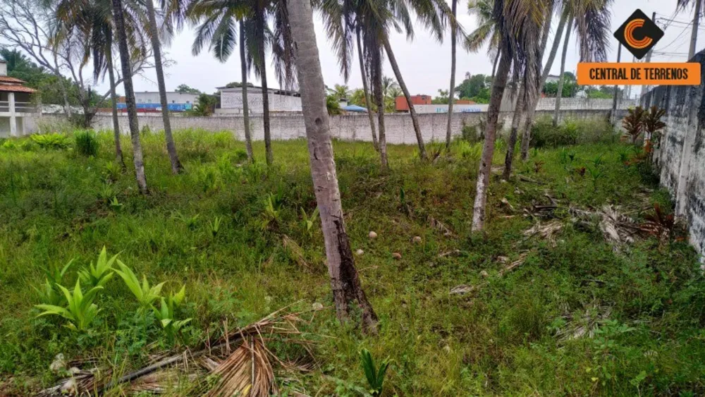 Loteamento e Condomínio, 2500 m² - Foto 7
