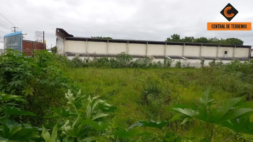 Terreno, 4605 m² - Foto 10