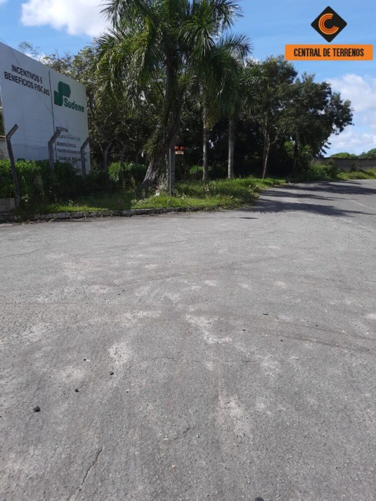 Depósito-Galpão - Foto 12